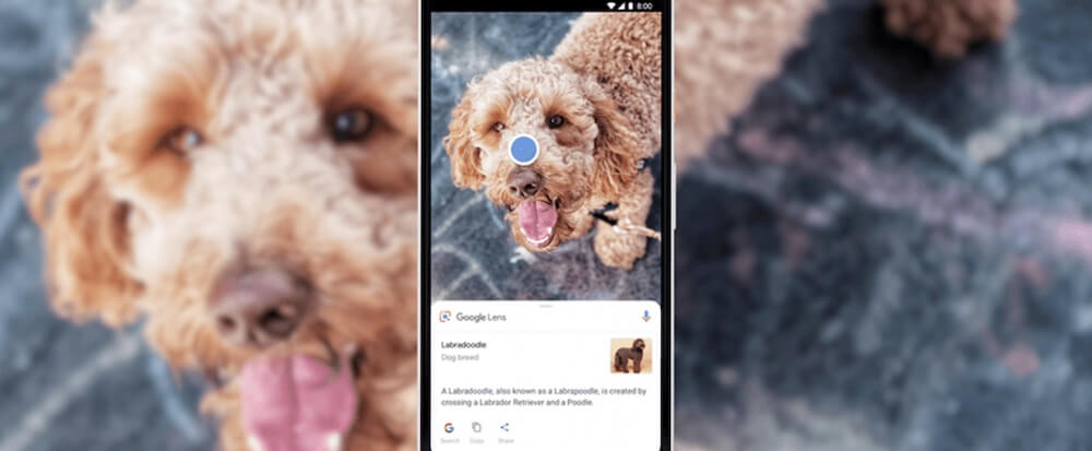 Google Lens как пользоваться
